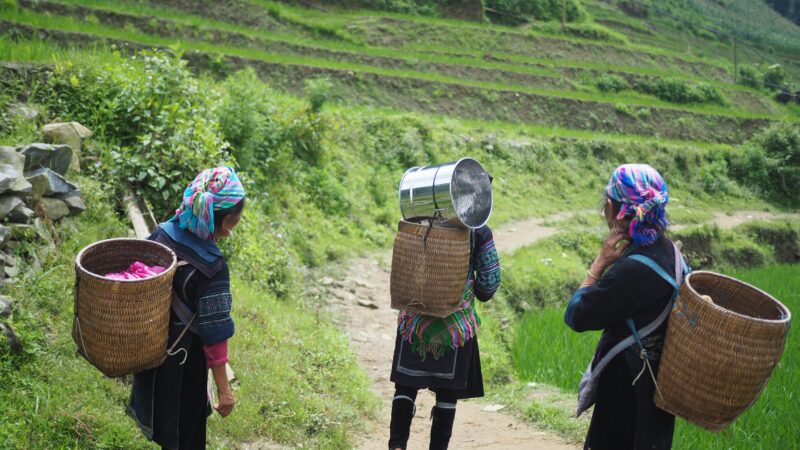 L’économie collaborative : les femmes et les pays émergents