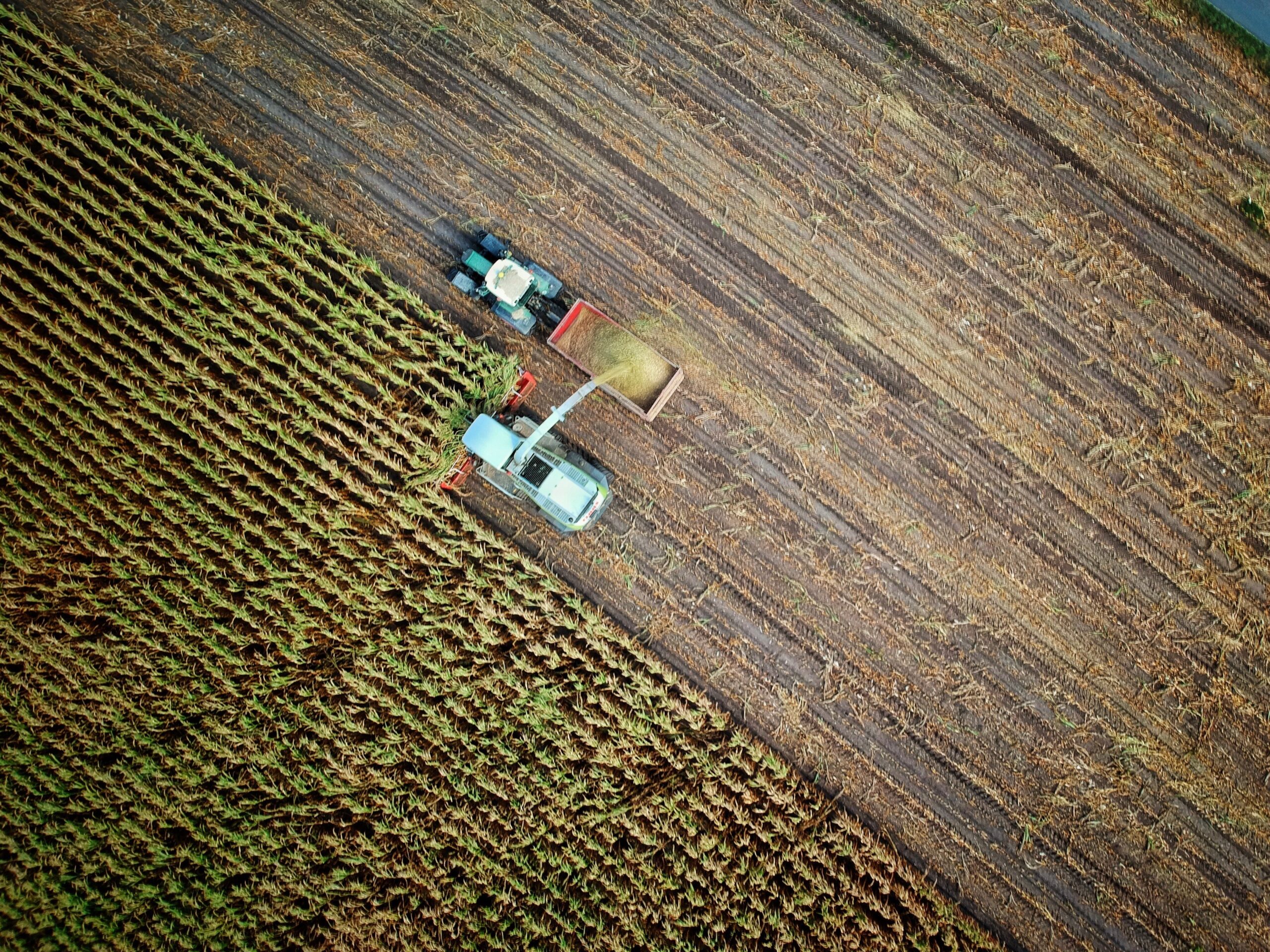 L’agritech, un progrès réellement durable ?