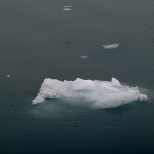Changement climatique : L’urgence d’une stratégie d’adaptation proportionnée aux risques climatiques
