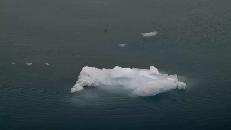 Changement climatique : L’urgence d’une stratégie d’adaptation proportionnée aux risques climatiques