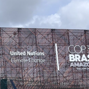 COP30 : l’adaptation passe à l’échelle