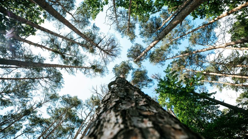 Le coût caché de l’économie linéaire : comment les modèles non-circulaires menacent-ils la stabilité des marchés face à la raréfaction des ressources et aux dépendances critiques ? Comment y répondre ?