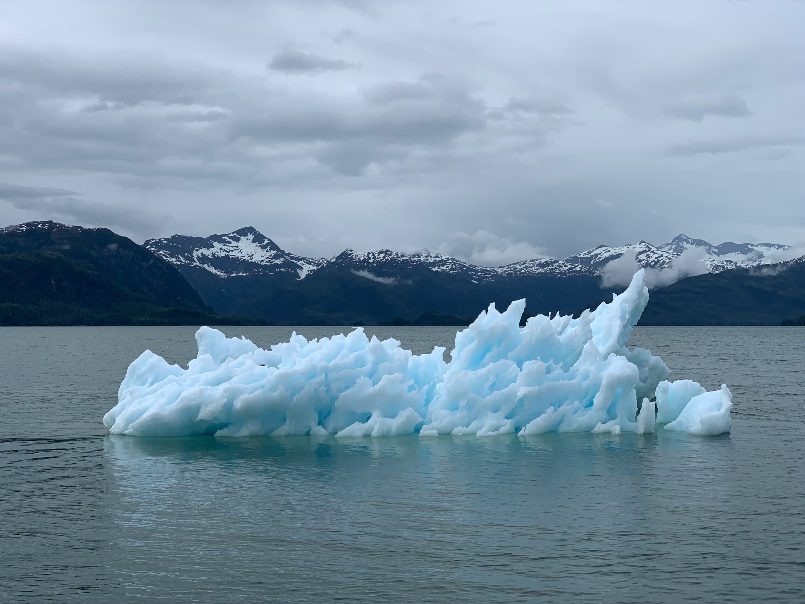 Adaptation au changement climatique dans l’industrie : 12 leviers opérationnels pour renforcer la résilience des sites industriels