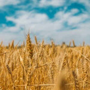 Comment éclairer les choix produits grâce à une analyse multicritères ESG intégrant les enjeux réputationnels ?