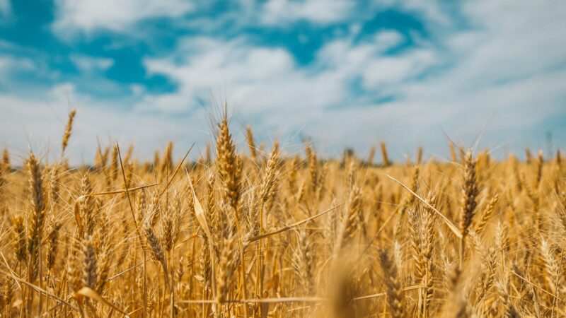 Comment éclairer les choix produits grâce à une analyse multicritères ESG intégrant les enjeux réputationnels ?