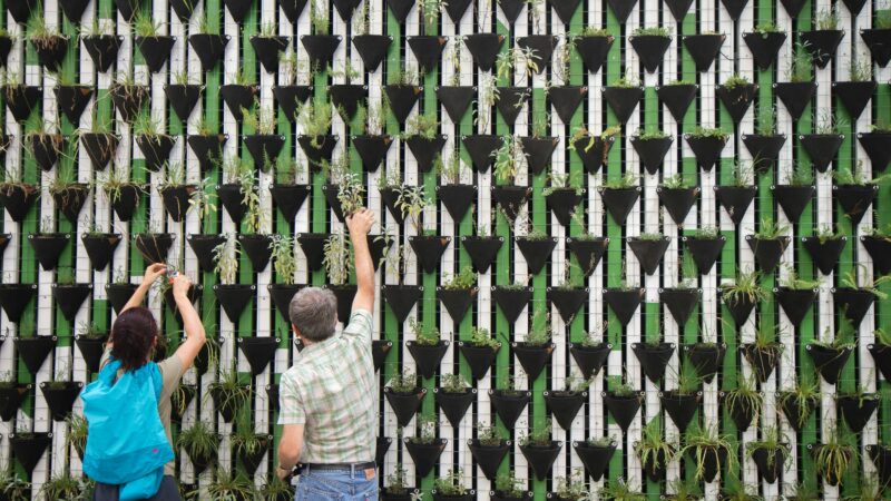 Evolutions des normes ISO 14001:2026 et ISO 53001 : de l’engagement au pilotage de la durabilité